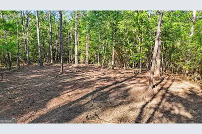 0 Union Church Road, Fort Valley, GA 31030 - Photo 24