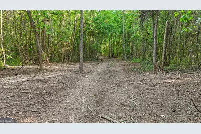 0 Union Church Road, Fort Valley, GA 31030 - Photo 20