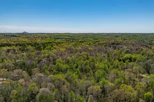 268 Northwoods Dr, Mount Airy, GA 30563 - Photo 94