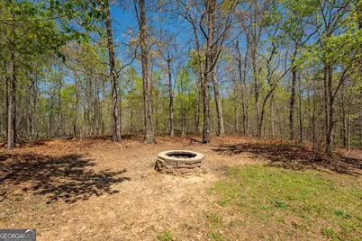 268 Northwoods Drive, Mount Airy, GA 30563 - Photo 88