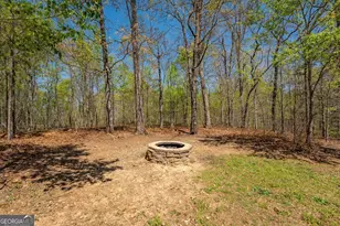 268 Northwoods Dr, Mount Airy, GA 30563 - Photo 88