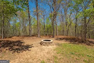 268 N Woods Dr, Mount Airy, GA 30563 - Photo 88