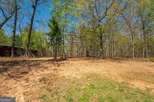 268 N Woods Dr, Mount Airy, GA 30563 - Photo 86