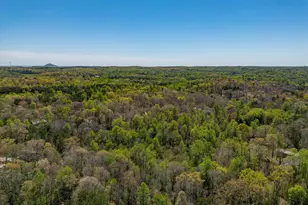 268 N Woods Dr, Mount Airy, GA 30563 - Photo 94