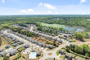 160 Blue Billed Crossing, Jefferson, GA 30549 - Photo 52