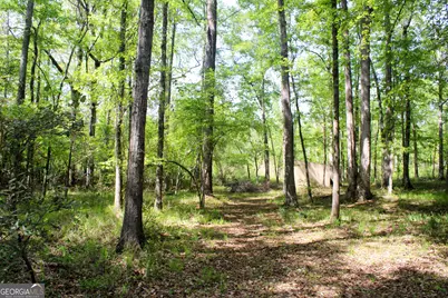 895 Waterview Drive, Lagrange, GA 30240 - Photo 78