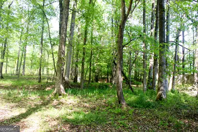 895 Waterview Drive, Lagrange, GA 30240 - Photo 80