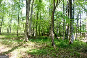 895 Waterview Dr, Lagrange, GA 30240 - Photo 80