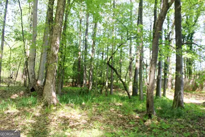895 Waterview Drive, Lagrange, GA 30240 - Photo 74