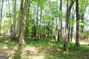 895 Waterview Dr, Lagrange, GA 30240 - Photo 74