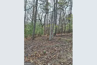 0 Mull Lane Circle, Morganton, GA 30560 - Photo 6