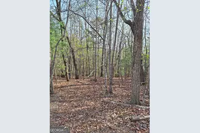 0 Mull Lane Circle, Morganton, GA 30560 - Photo 2