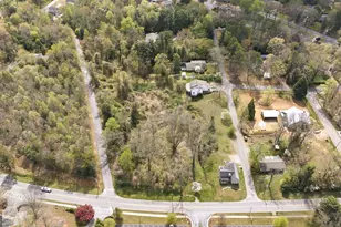 00 Wyly/Cherry St, Cornelia, GA 30531 - Photo 1