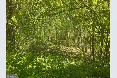 0 Hilltop Lane, Toccoa, GA 30577 - Photo 2