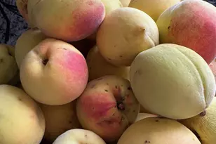 4196 Mud Creek Rd, Cornelia, GA 30531 - Photo 40