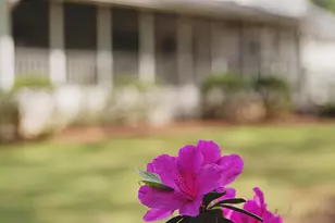 314 Lamplighter Ln SE, Marietta, GA 30067 - Photo 56