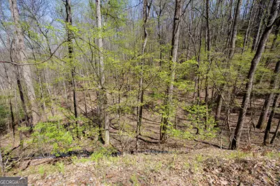 0 Laurel Trail #LOT 54, Suches, GA 30572 - Photo 10