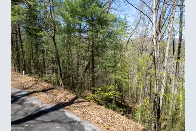 0 Laurel Trail #LOT 54, Suches, GA 30572 - Photo 12
