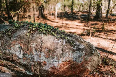 1283 Cedar Shoals Drive, Athens, GA 30606 - Photo 14