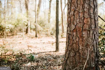 1283 Cedar Shoals Drive, Athens, GA 30606 - Photo 10