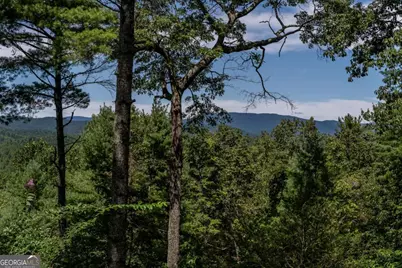 114 Boone Court, Ellijay, GA 30540 - Photo 54