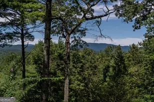 114 Boone Ct, Ellijay, GA 30540 - Photo 54