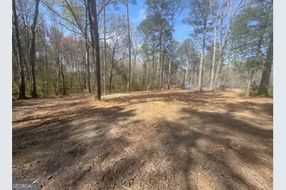 0 Mt Carmel, Senoia, GA 30276 - Photo 16