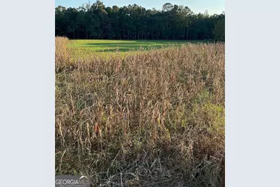 0 Mt Carmel, Senoia, GA 30276 - Photo 12