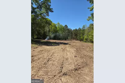 0 Mt Carmel, Senoia, GA 30276 - Photo 8