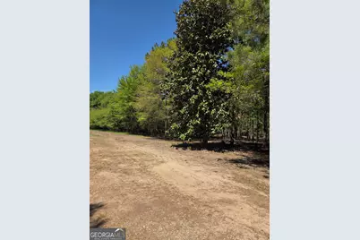 0 Mt Carmel, Senoia, GA 30276 - Photo 4