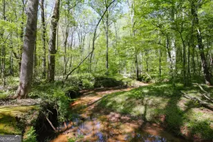 215 Hanover Dr, Bogart, GA 30622 - Photo 60