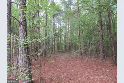 0 Star Point Road, Carrollton, GA 30116 - Photo 4