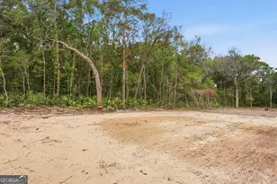 2099 Susie Baker Rd NE, Townsend, GA 31331 - Photo 30