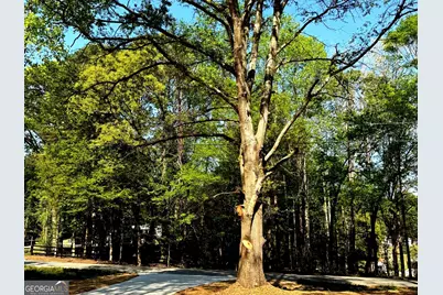 921 Silver Dollar Road, Maysville, GA 30588 - Photo 20