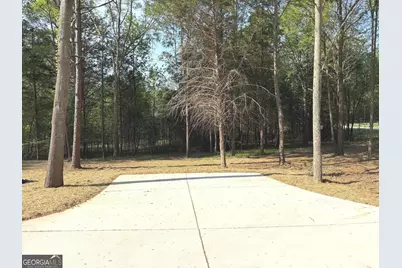 921 Silver Dollar Road, Maysville, GA 30558 - Photo 22