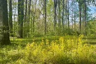 12005-A Hutcheson Ferry Rd, Chattahoochee Hills, GA 30268 - Photo 36