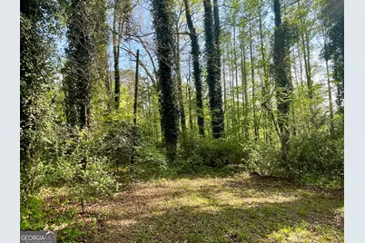 12005-A Hutcheson Ferry Road, Chattahoochee Hills, GA 30268 - Photo 48