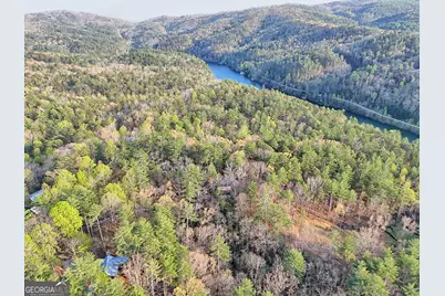 604 Tame Turkey Road, Lakemont, GA 30552 - Photo 4