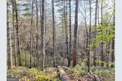 604 Tame Turkey Road, Lakemont, GA 30552 - Photo 54