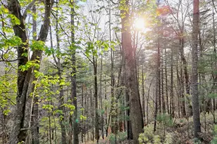 604 Tame Turkey Rd, Lakemont, GA 30552 - Photo 52