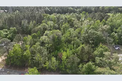Tract 1 Spring Branch Road, Baxley, GA 31513 - Photo 18