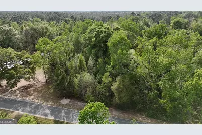Tract 1 Spring Branch Road, Baxley, GA 31513 - Photo 16