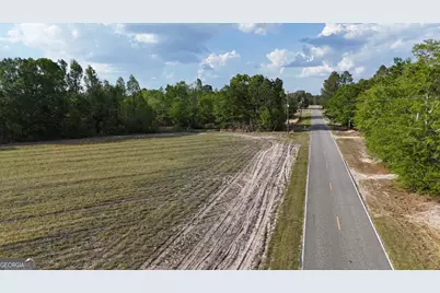 Tract 1 Spring Branch Road, Baxley, GA 31513 - Photo 14