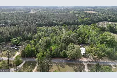 Tract 1 Spring Branch Road, Baxley, GA 31513 - Photo 6