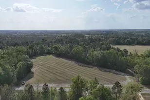 Tract 1 Spring Branch Rd, Baxley, GA 31513 - Photo 1