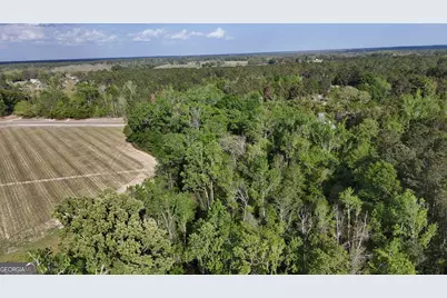 Tract 3 Spring Branch Road, Baxley, GA 31513 - Photo 10