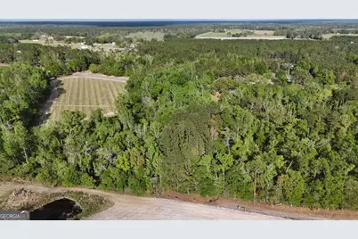 Tract 3 Spring Branch Road, Baxley, GA 31513 - Photo 8