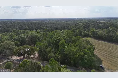 Tract 5 Spring Branch Road, Baxley, GA 31513 - Photo 4