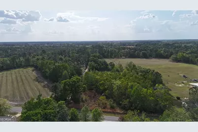 Tract 5 Spring Branch Road, Baxley, GA 31513 - Photo 2
