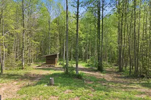 1601 Price Rd, Martin, GA 30557 - Photo 82